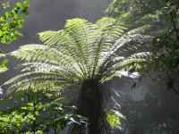 Albums/20060200-New Zealand 2006/20060313-Catlins/44